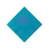 Beverage Napkin - Aqua - Tradition 2 Beverage Napkin - Aqua - Tradition -Bar Supply Store QPic 270